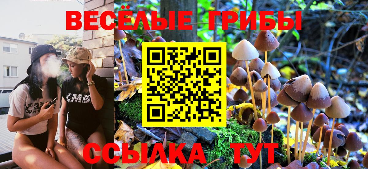 Псилоцибиновые грибы мицелий Егорьевск