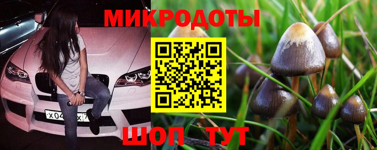 Егорьевск  Псилоцибиновые грибы Magic Shrooms  Вход с VPN 